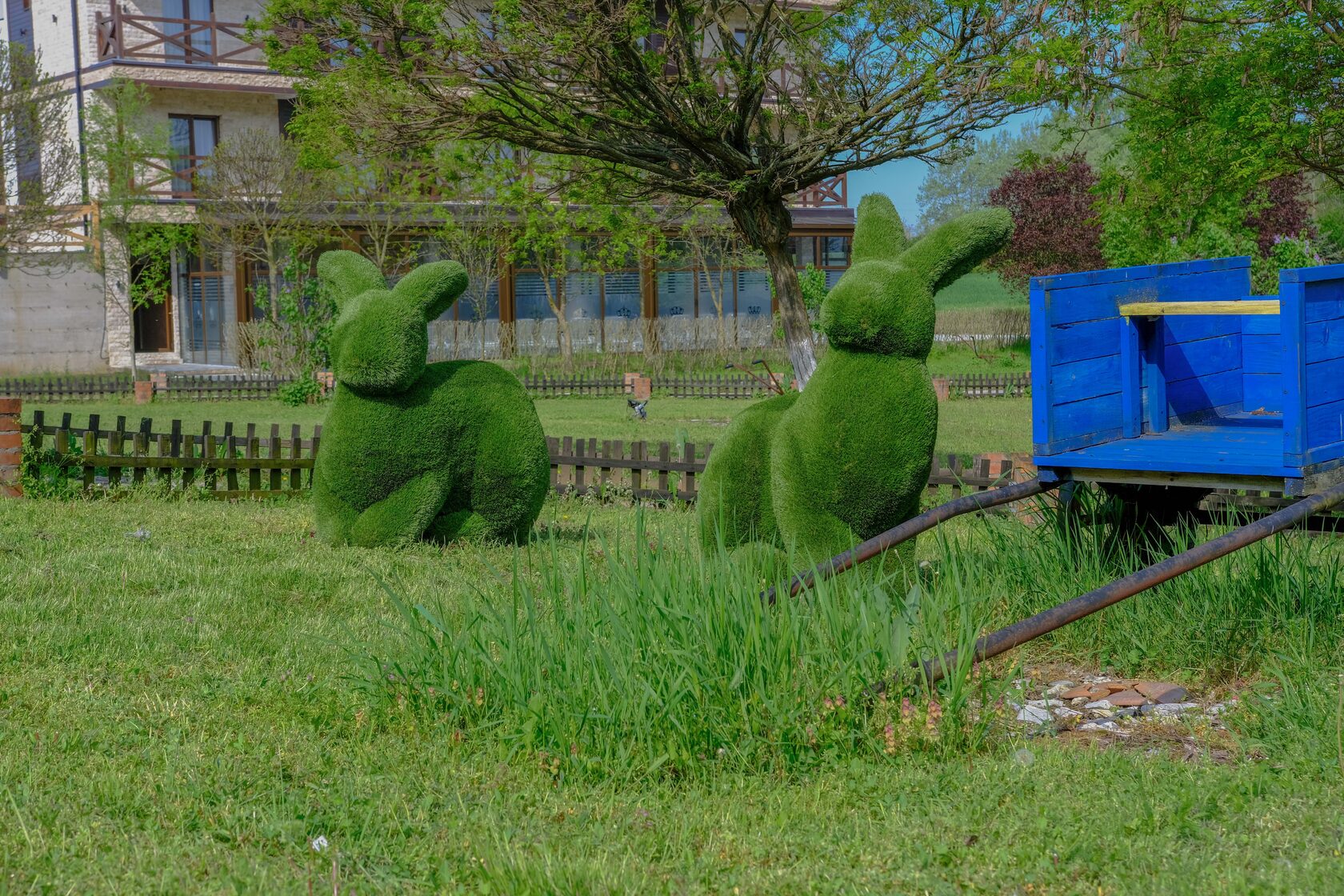 Кролики — изображение 8