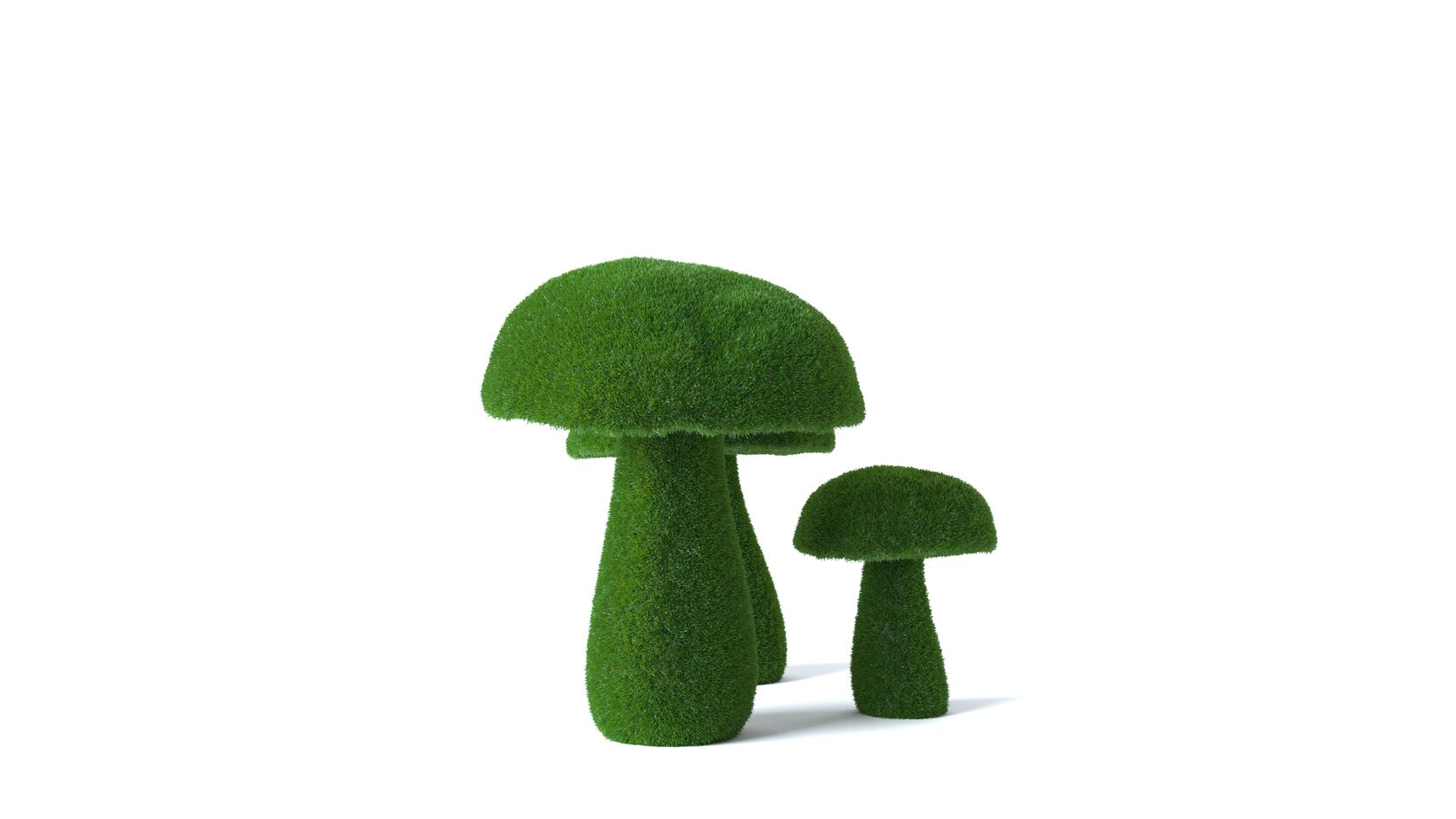 Грибы №4 — изображение 2