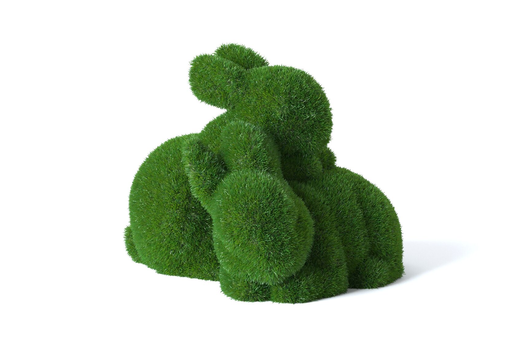 Дом — изображение 11