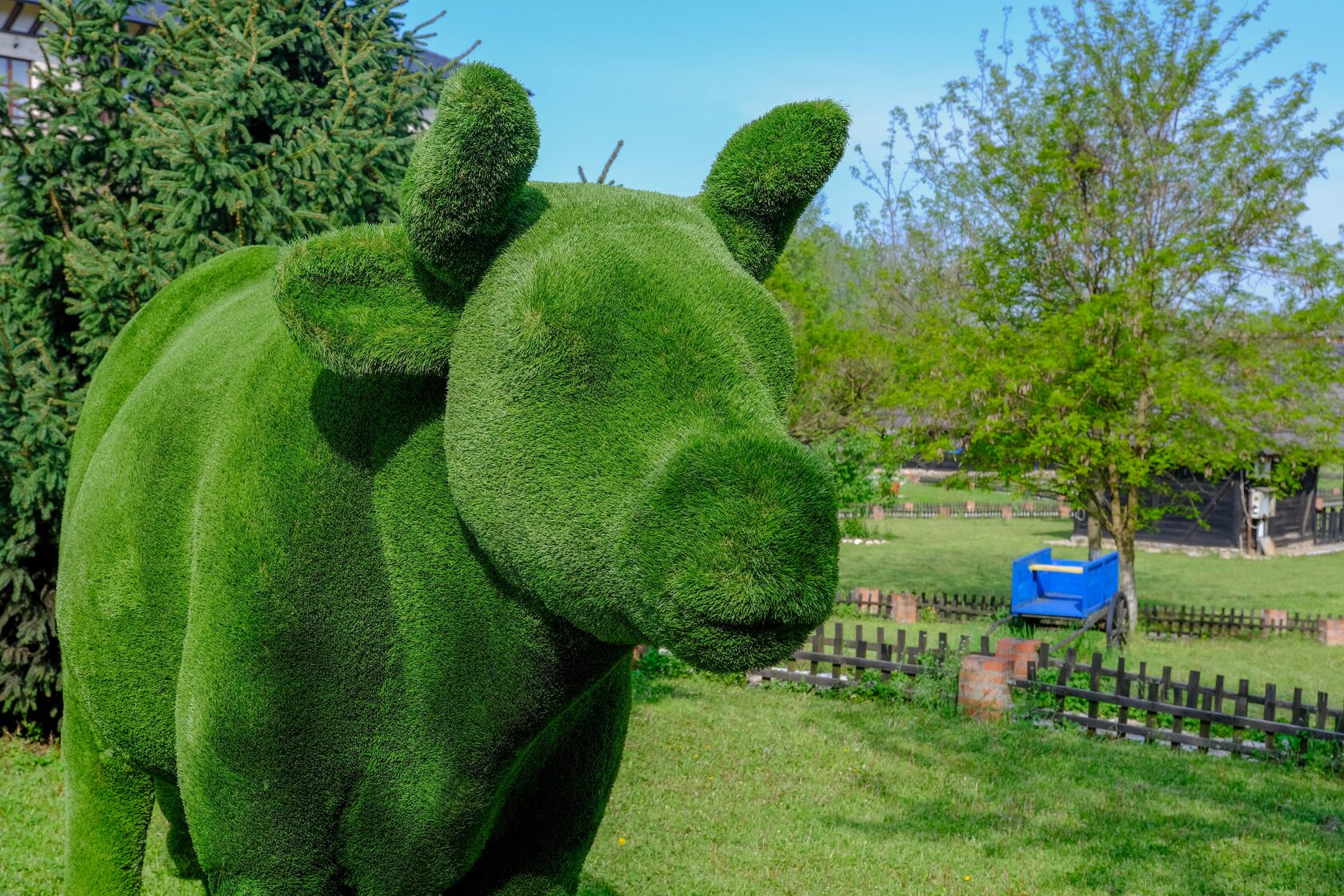 Корова — изображение 3