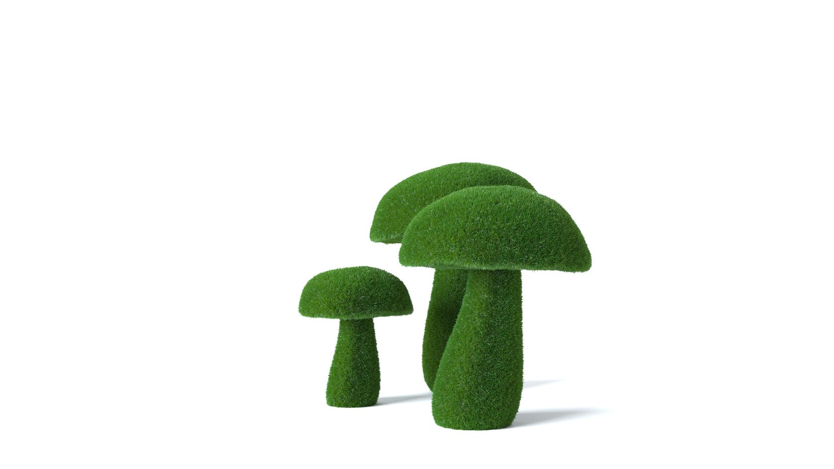 Грибы №4 — изображение 5