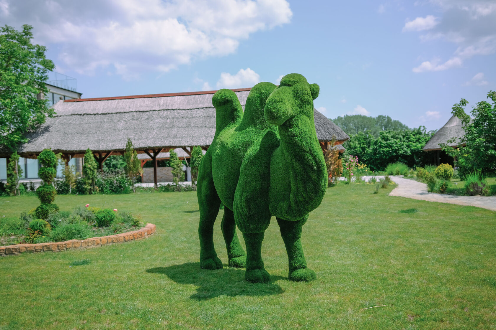 Верблюд №2 — изображение 4