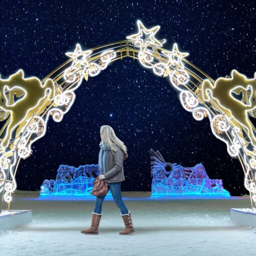 Арка с оленями