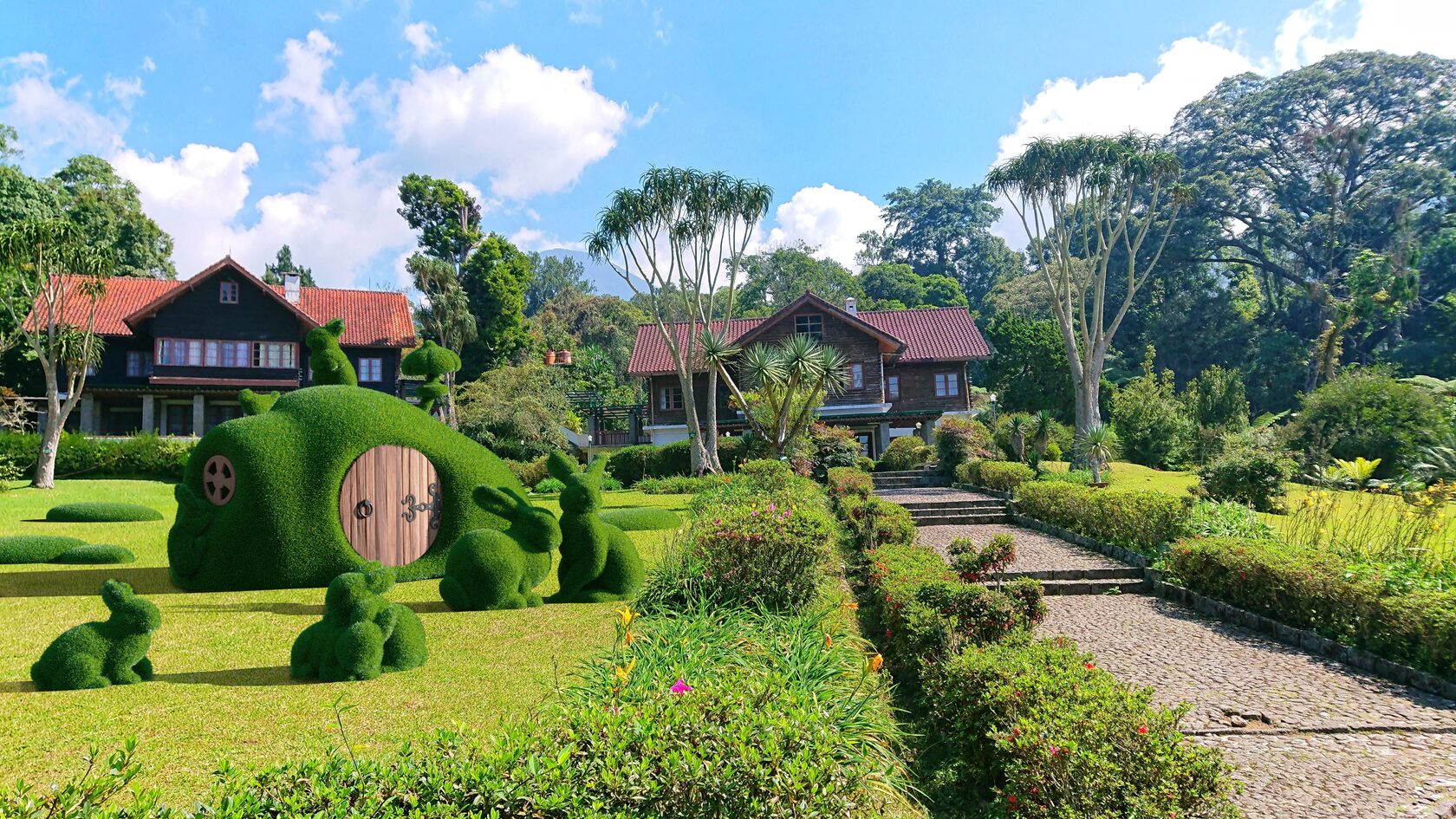 Дом — изображение 2