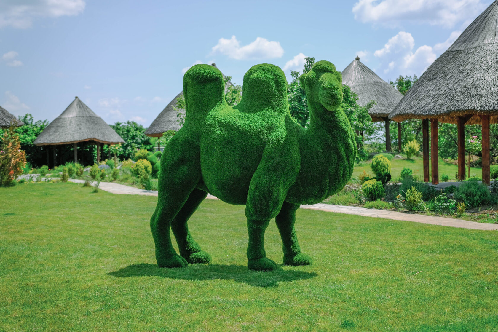 Верблюд №2 — изображение 3