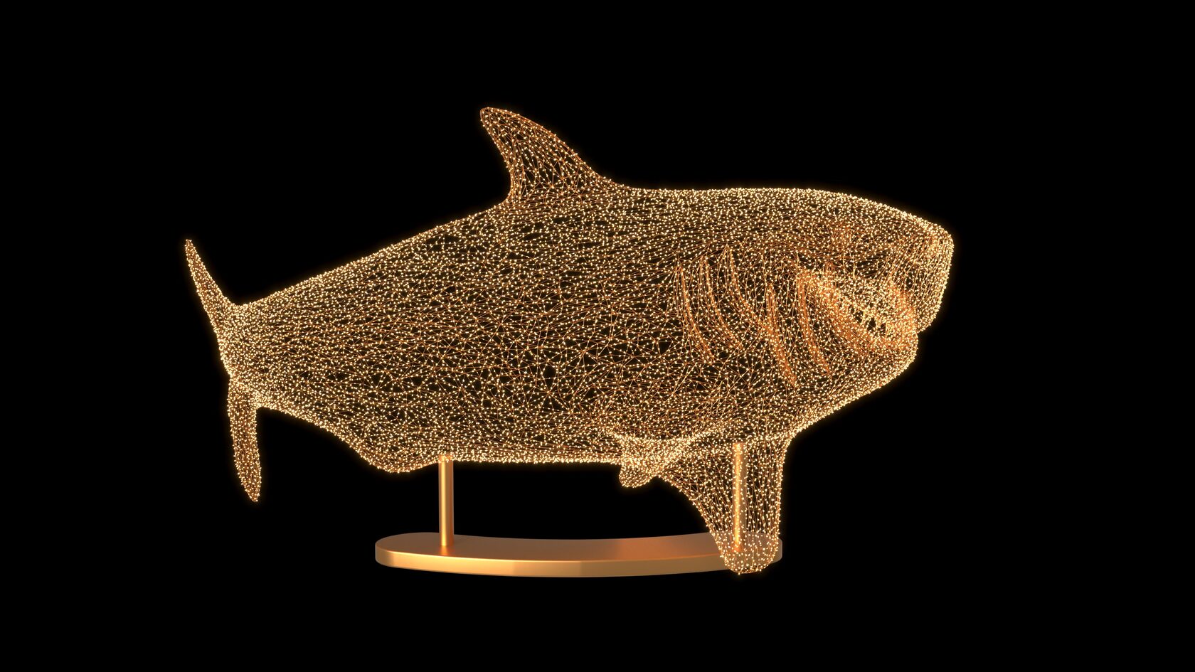 Акула — изображение 4