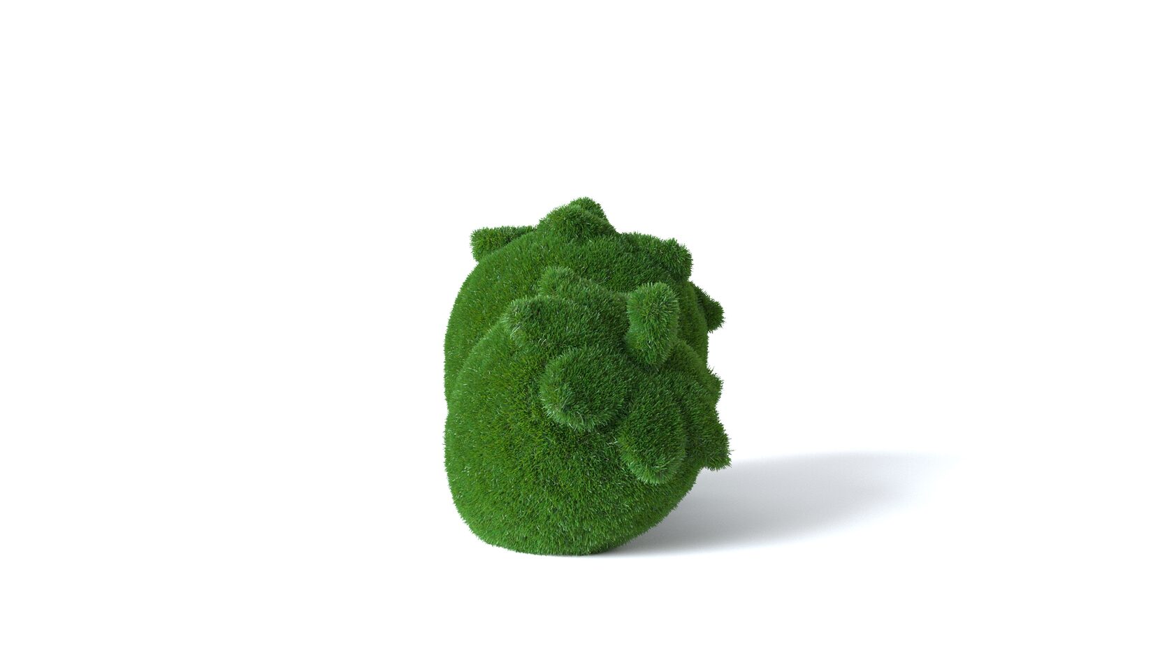 Клубника — изображение 5