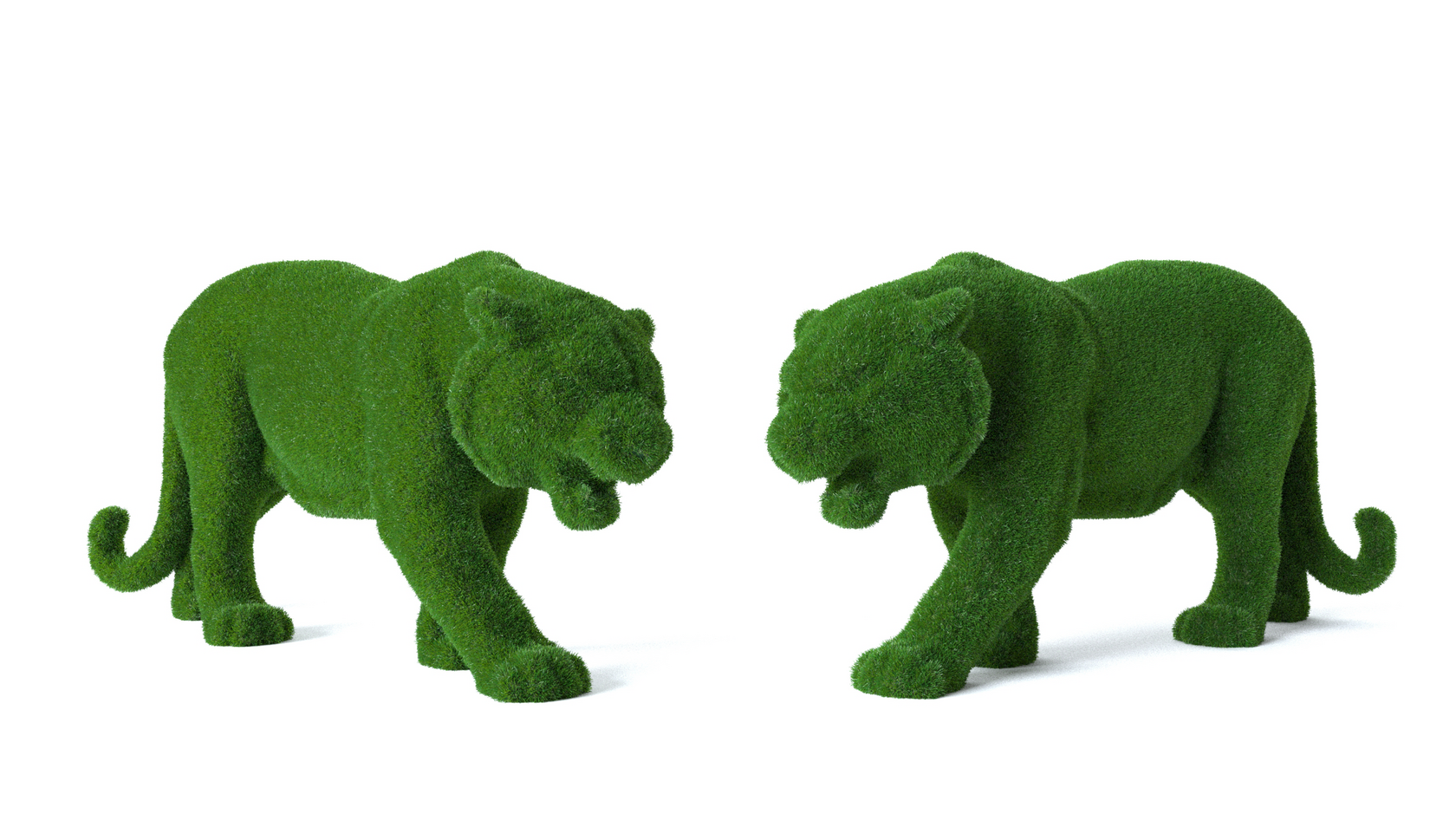 Тигр — изображение 4