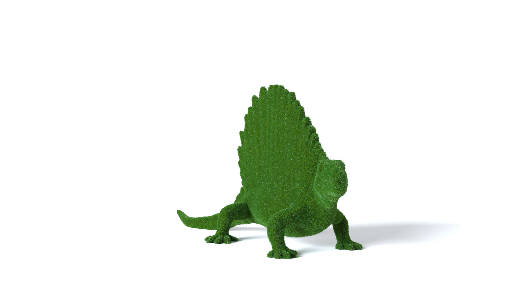 Динозавр Диметродон — изображение 3