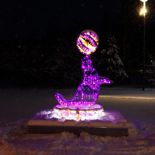 Фотозона цирк