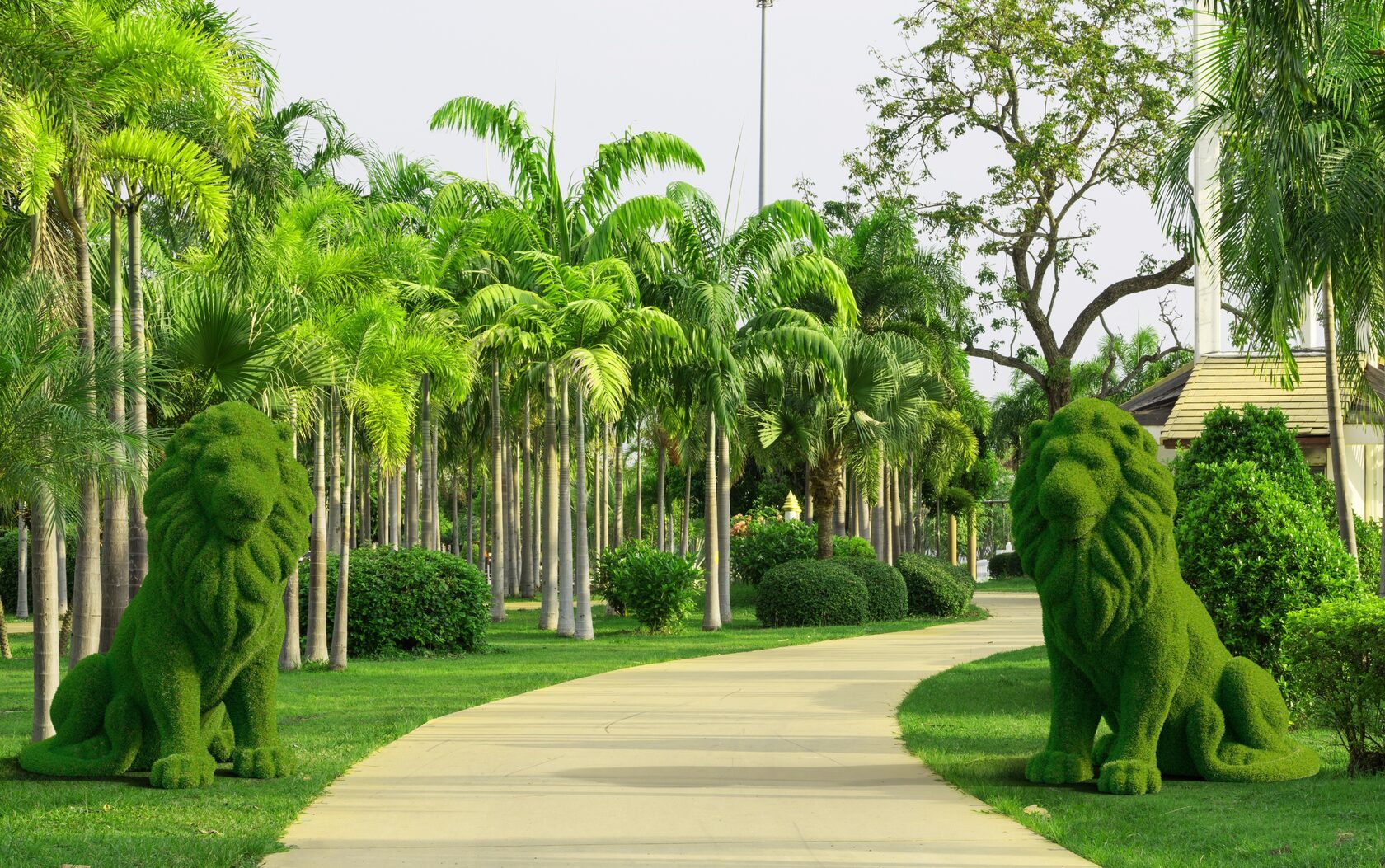 Лев №1 — изображение 2