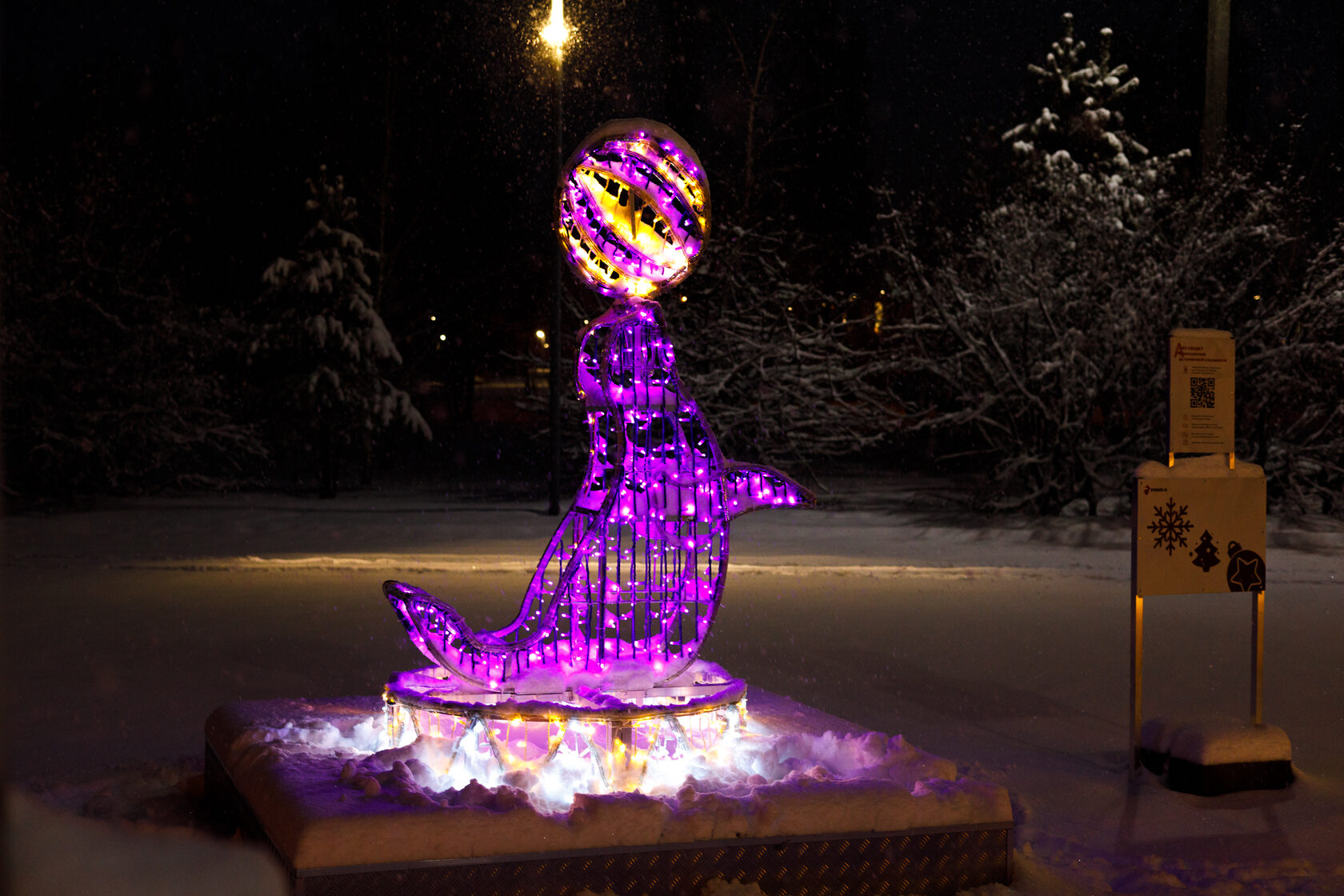 Фотозона цирк — изображение 2