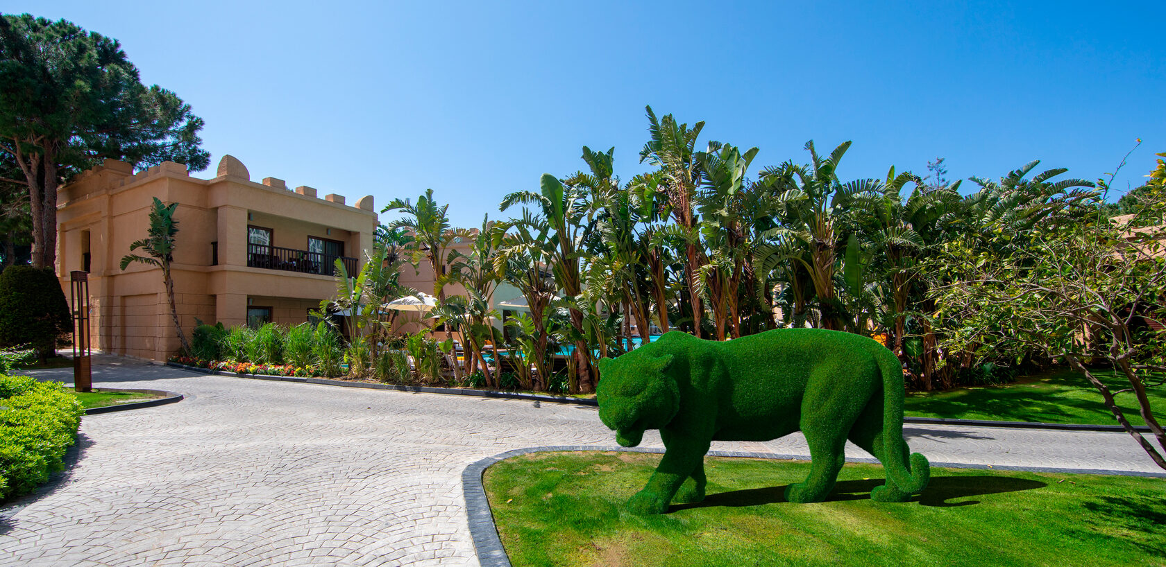 Тигр — изображение 2