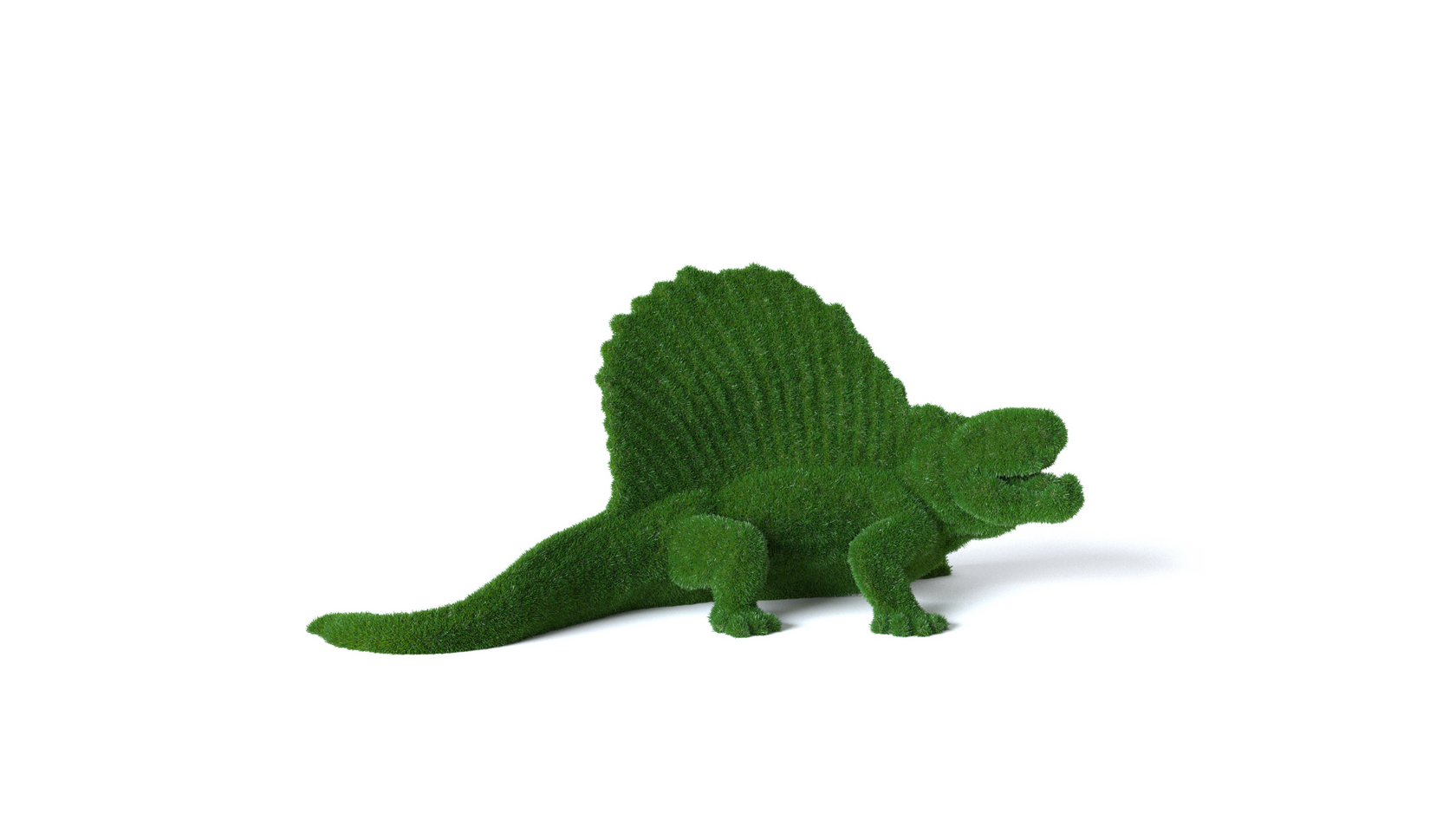 Динозавр Диметродон — изображение 4