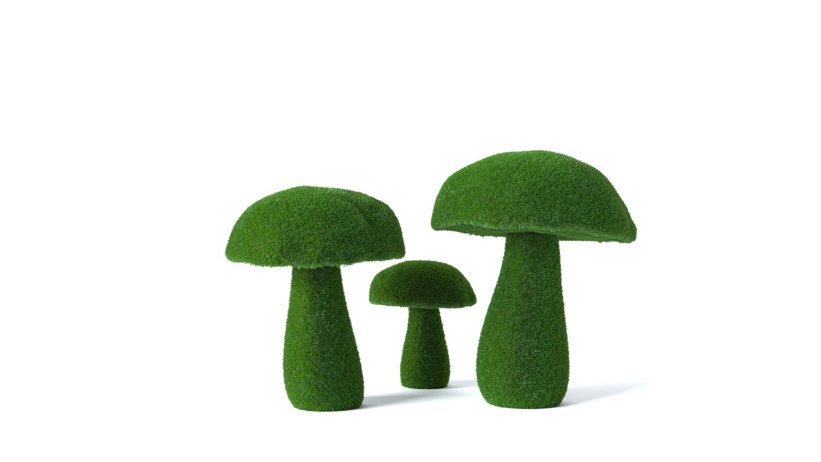 Грибы №4 — изображение 4