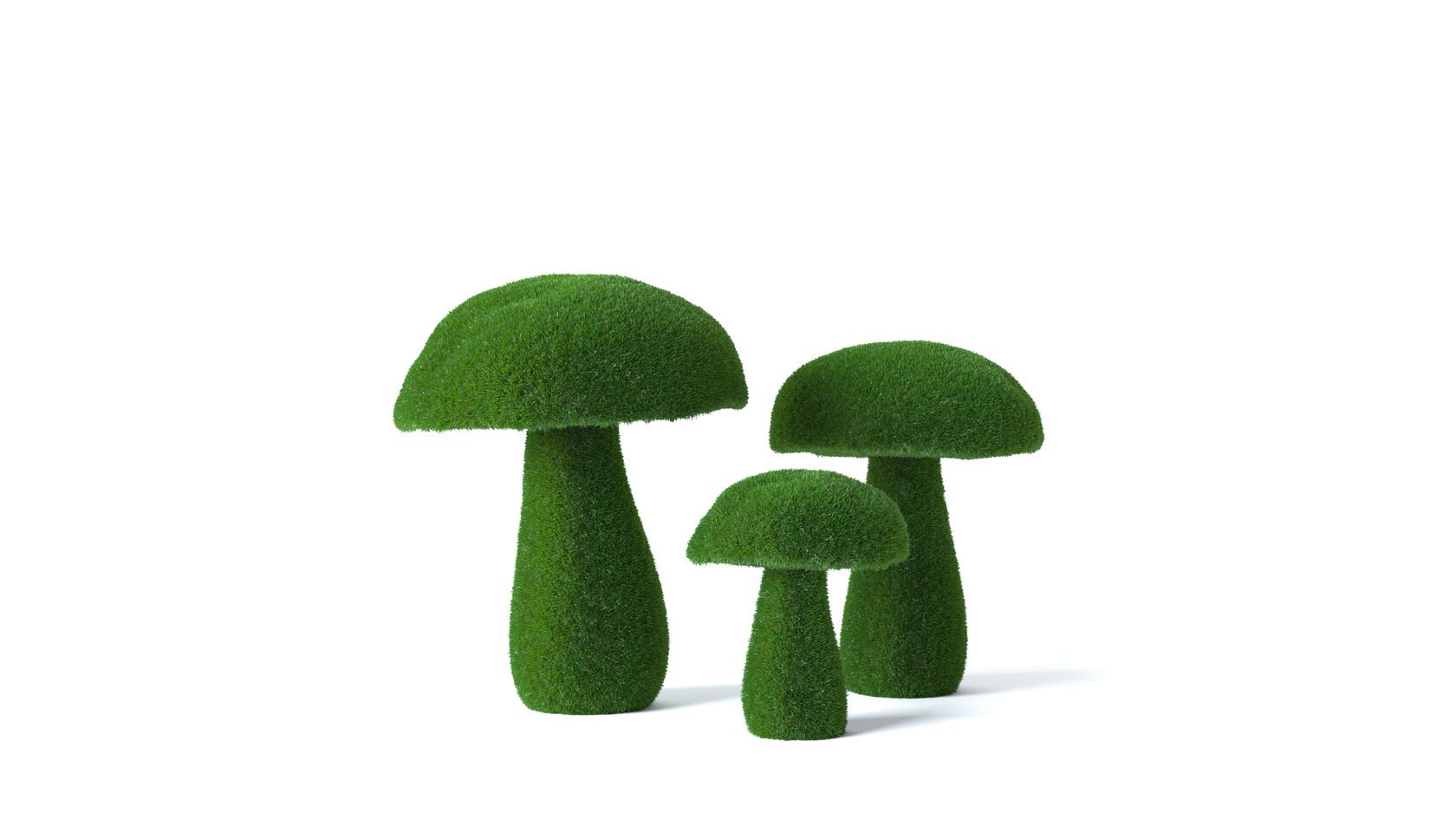 Грибы №4 — изображение 6