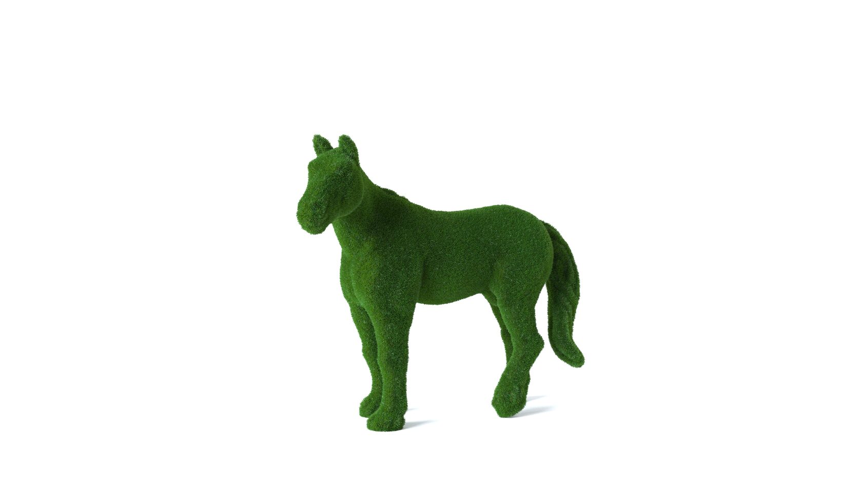 Лошадь №1 — изображение 5