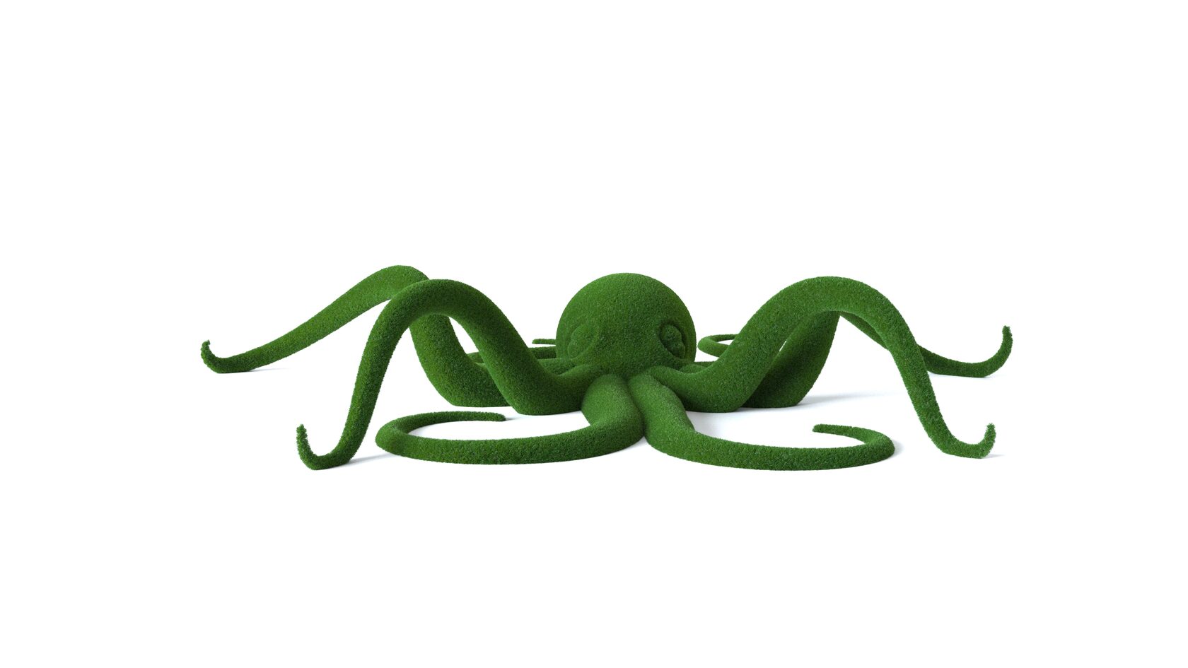 Осьминог №1 — изображение 2