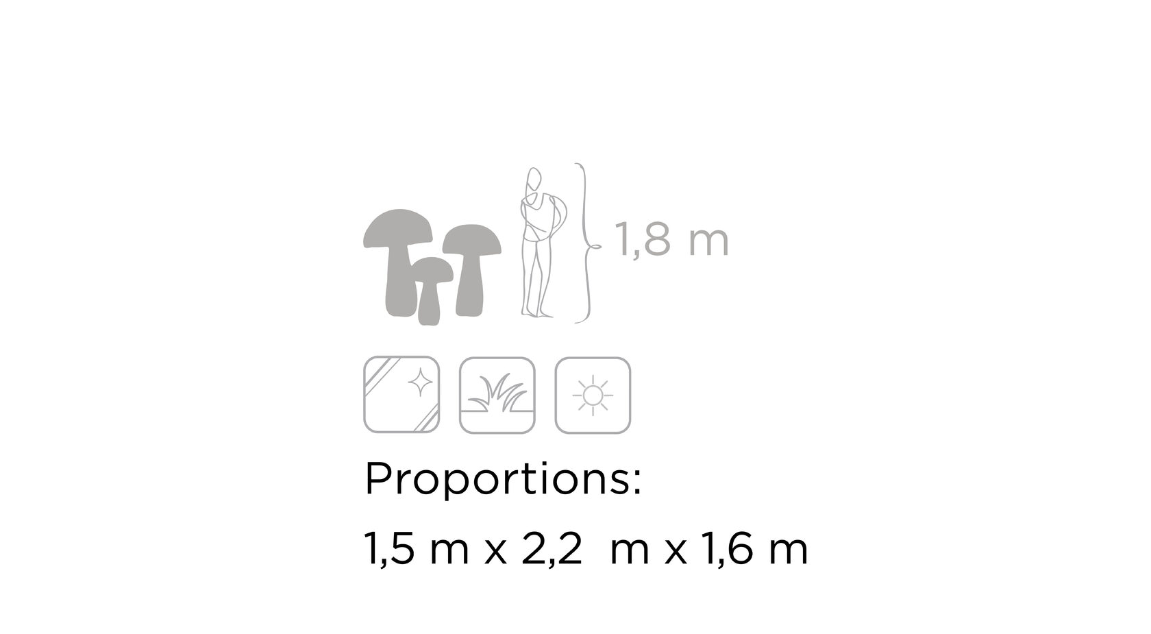 Грибы №4 — изображение 3