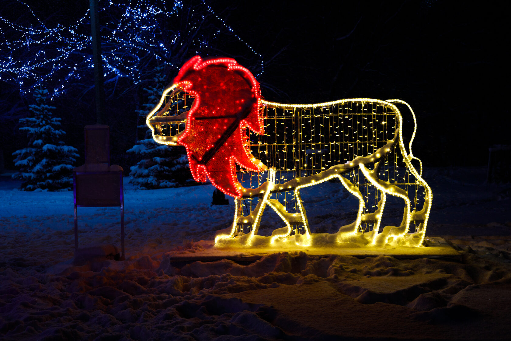 Фотозона цирк — изображение 3