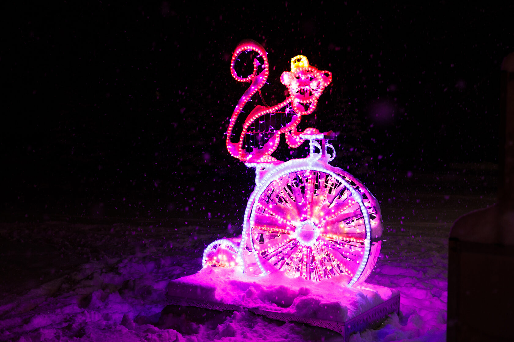 Фотозона цирк — изображение 3