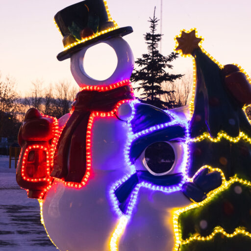 Селфи-зона «Папа и Я — снеговики»