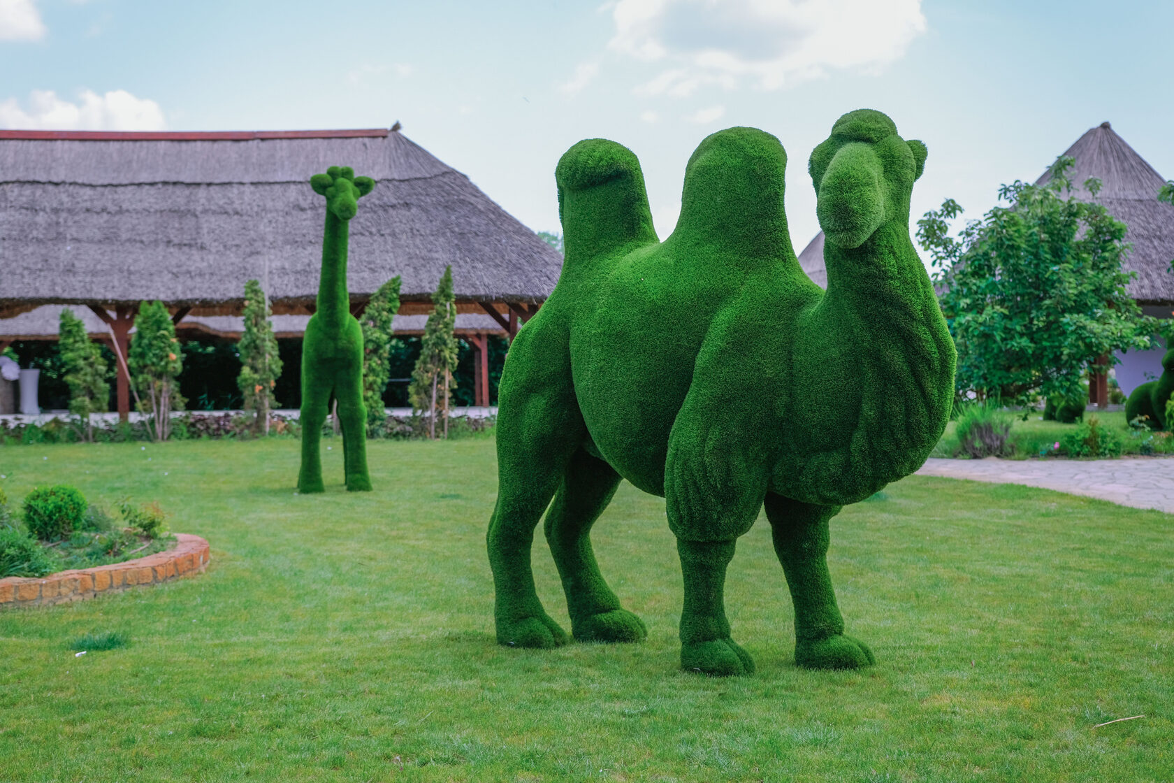 Верблюд №2 — изображение 8