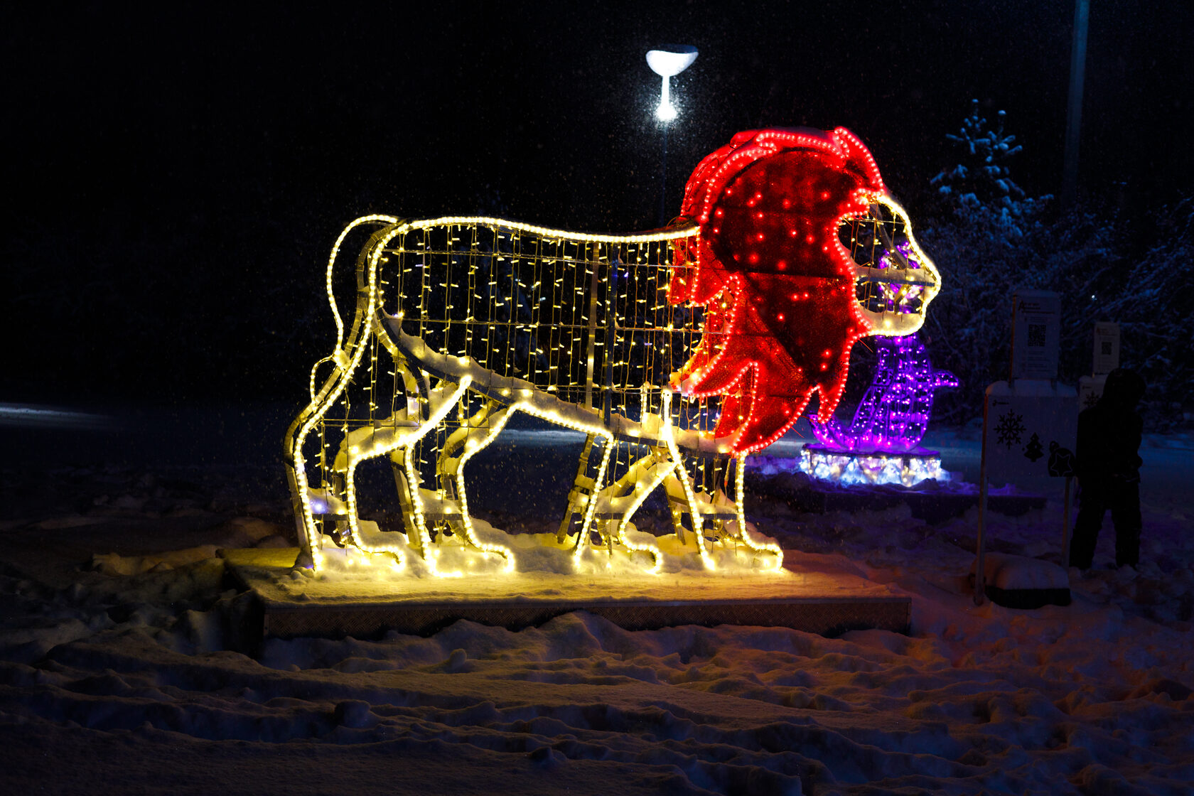 Фотозона цирк — изображение 2