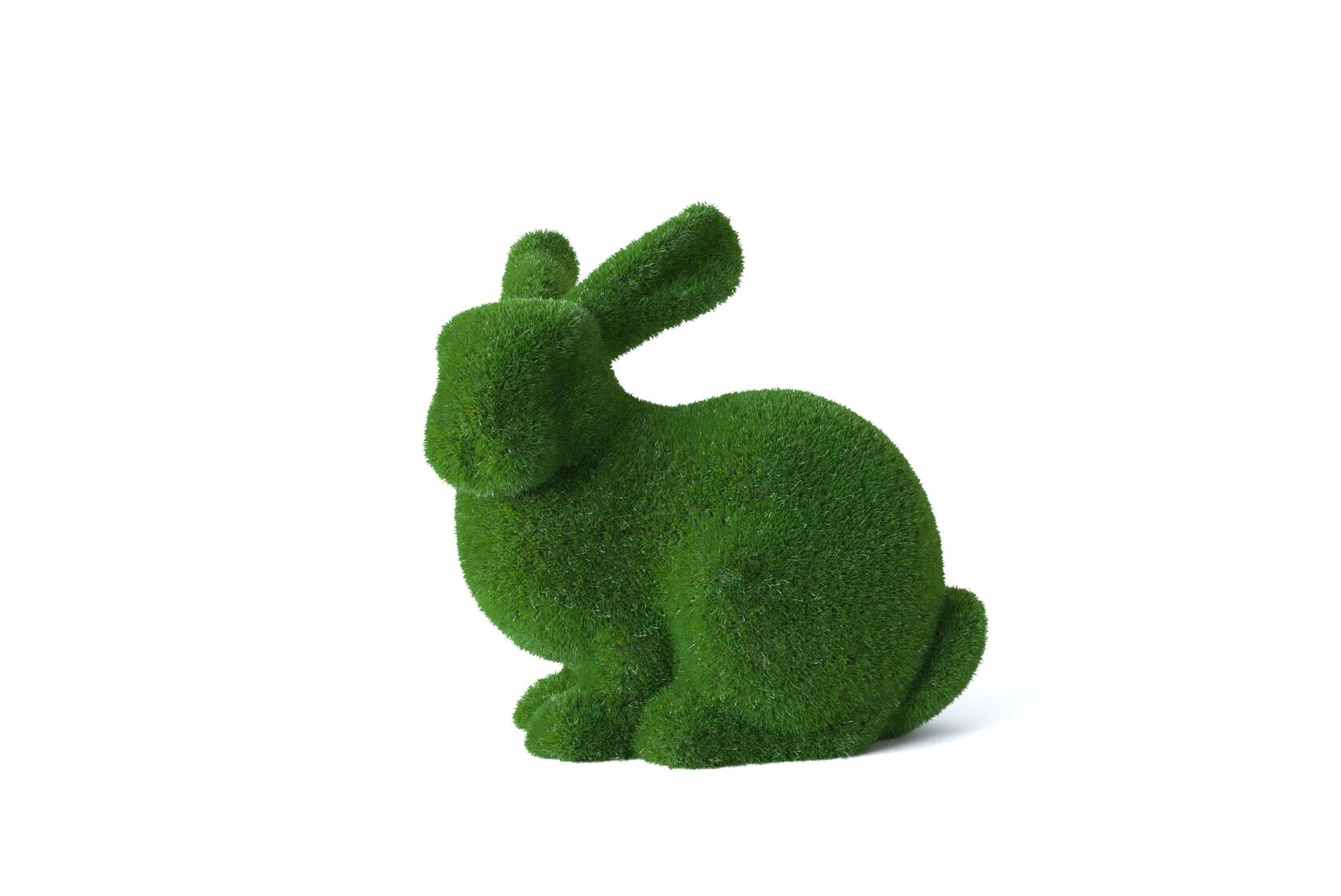 Дом — изображение 9