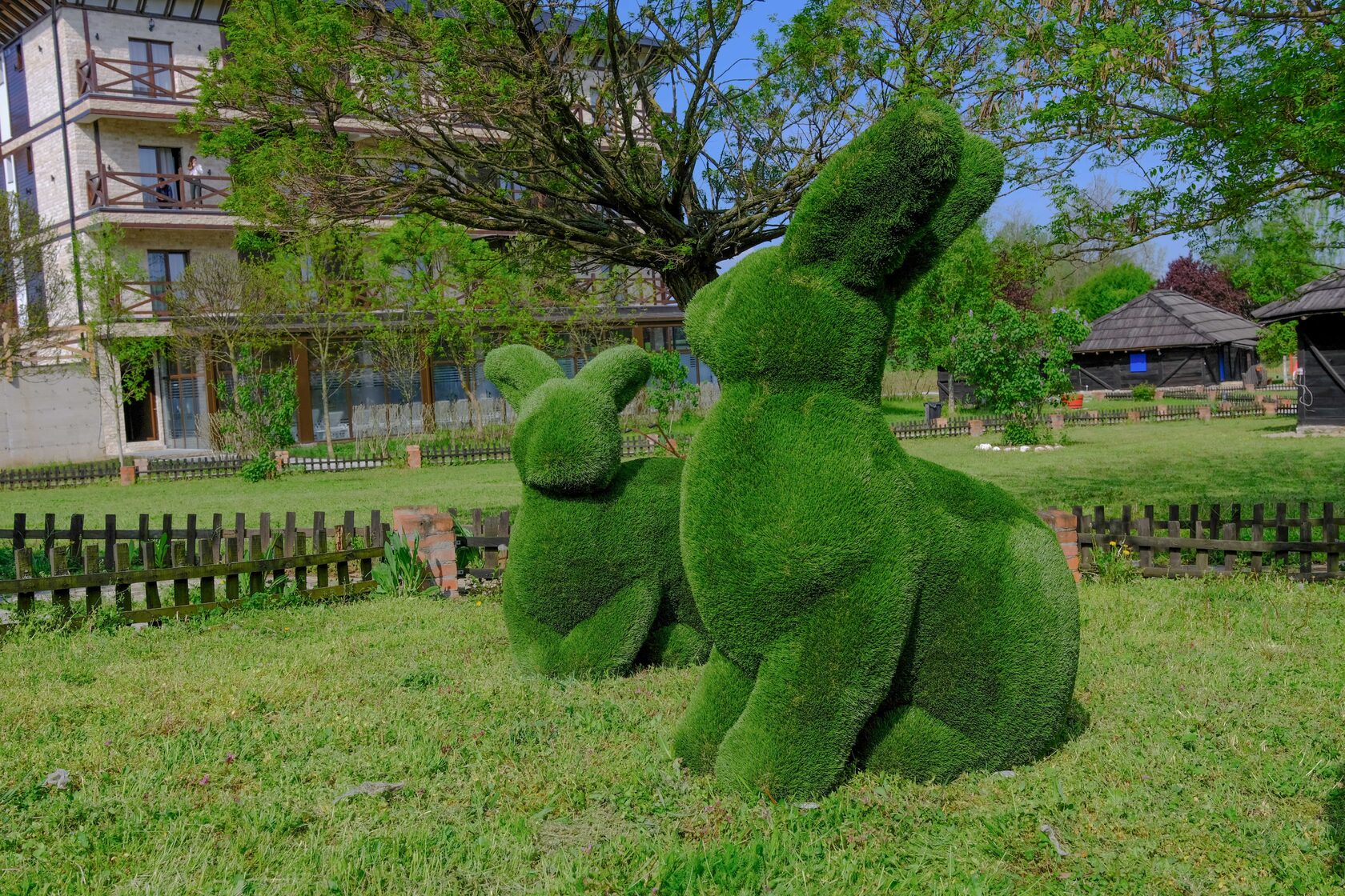 Кролики — изображение 7