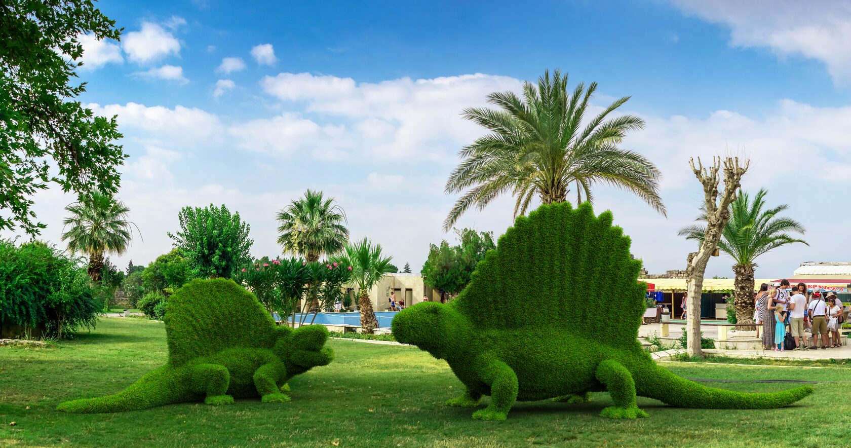 Динозавр Диметродон — изображение 2