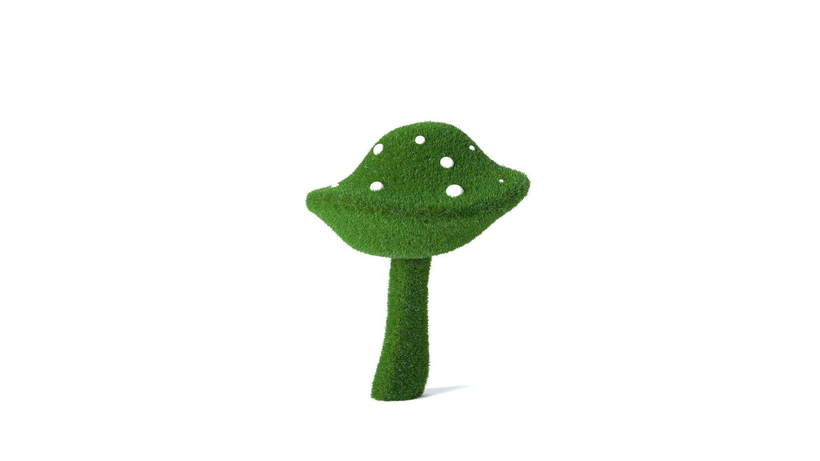 Грибы №2 — изображение 5