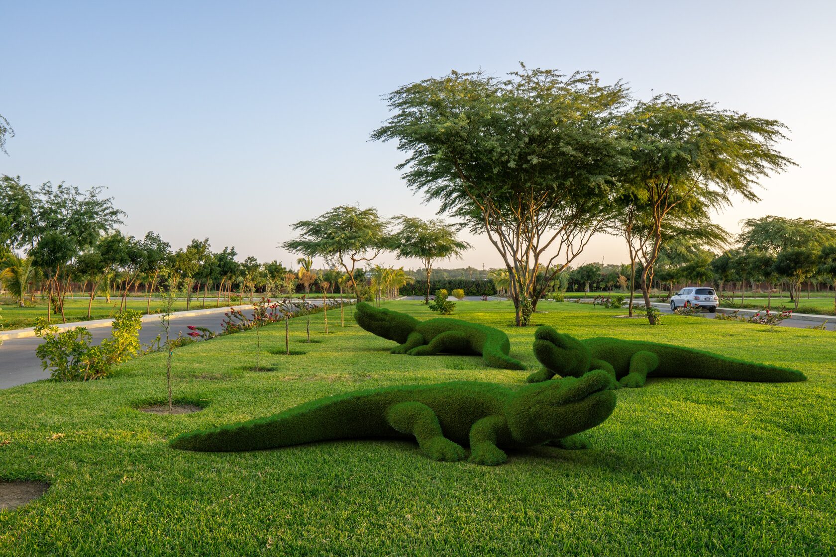 Крокодил — изображение 11