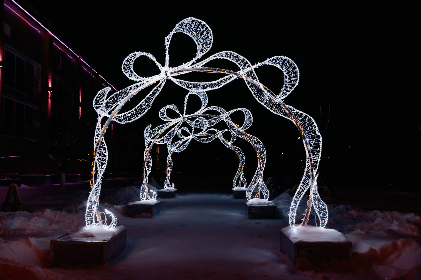 Арка светодиодная — изображение 5