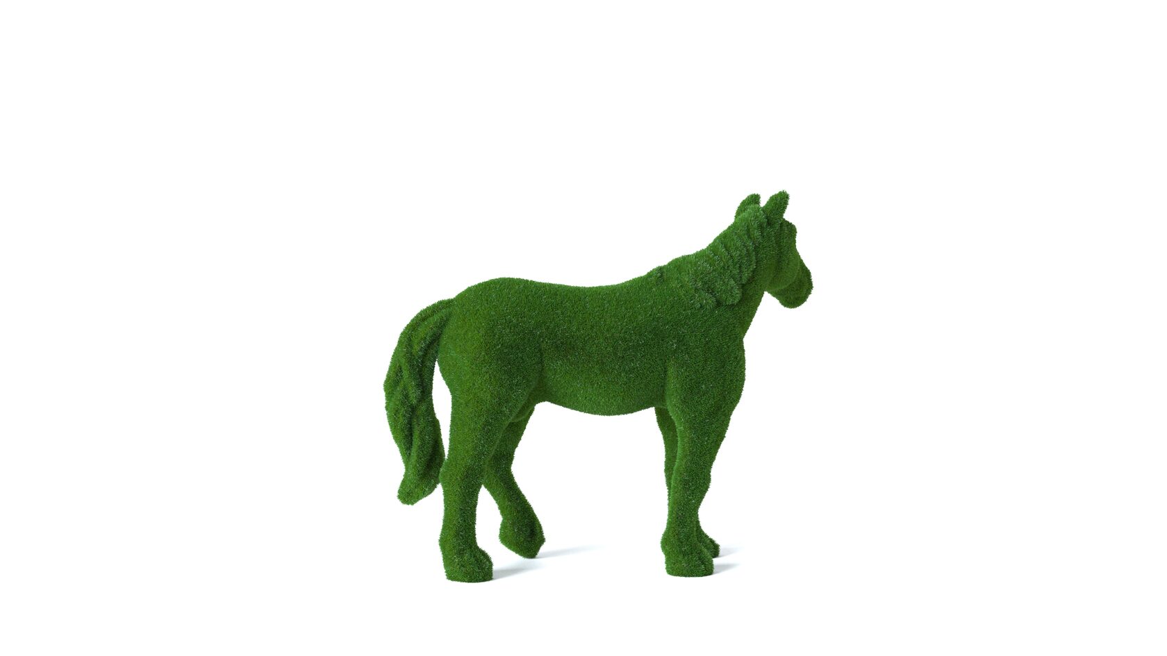 Лошадь №1 — изображение 4