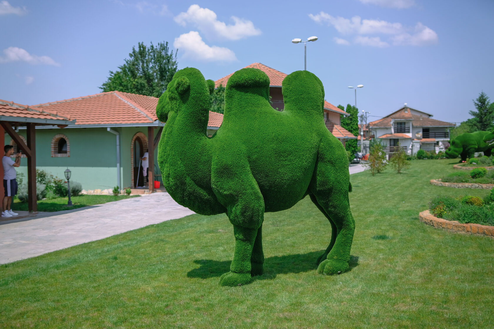 Верблюд №2 — изображение 5