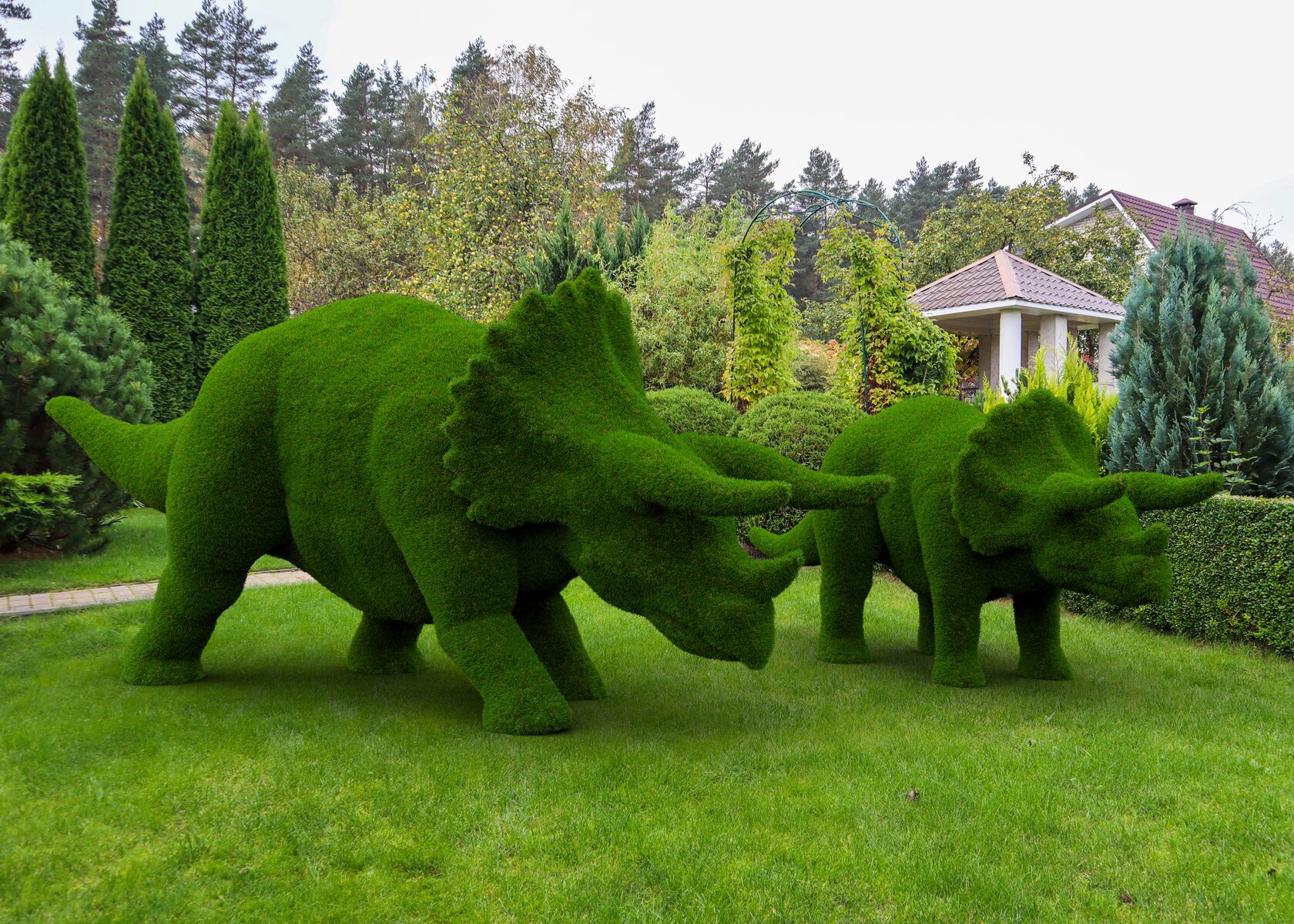 Динозавр Трицератопс — изображение 2