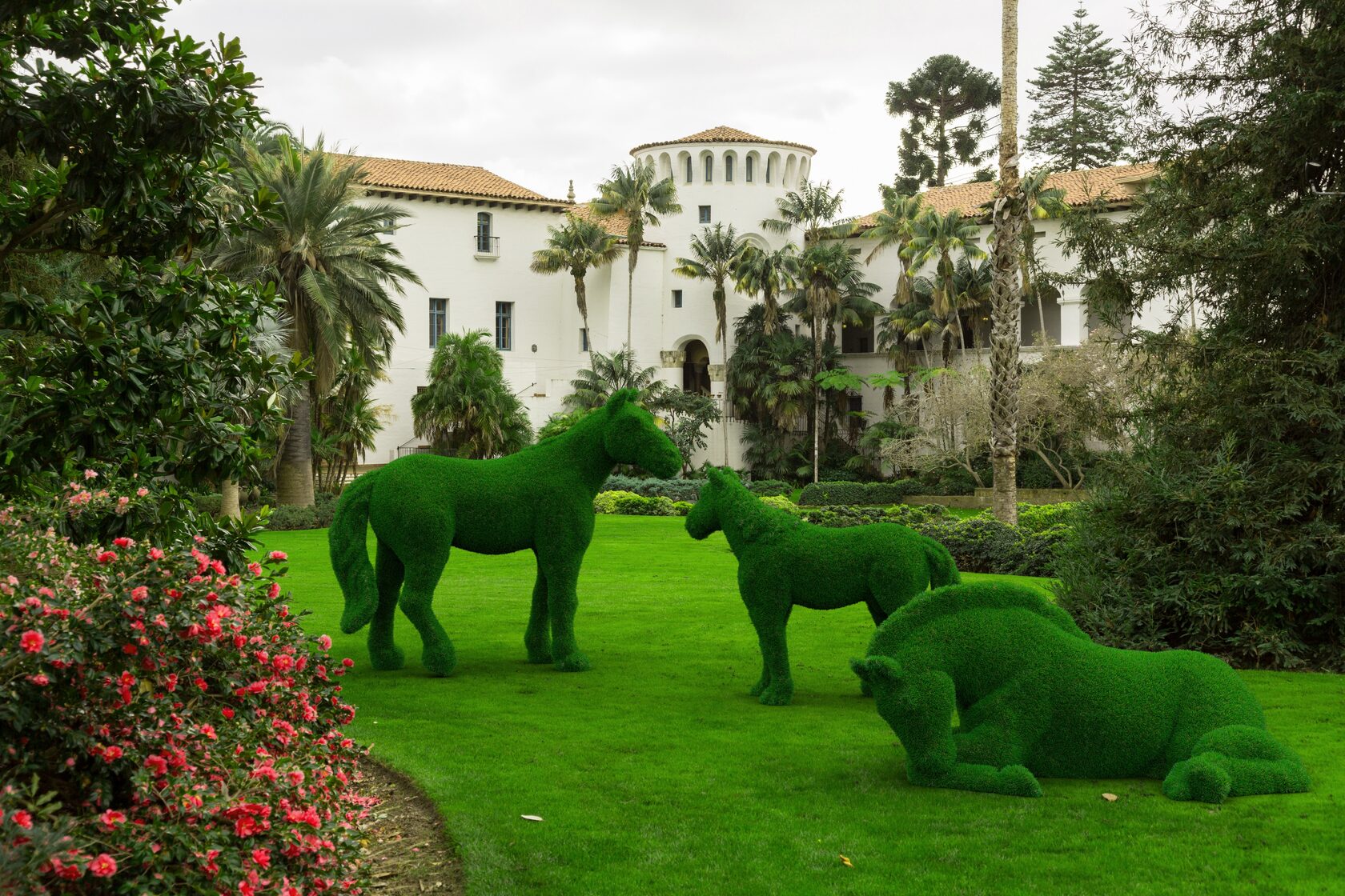 Лошадь №1 — изображение 2