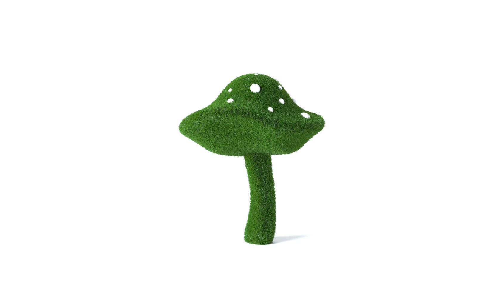 Грибы №2 — изображение 4