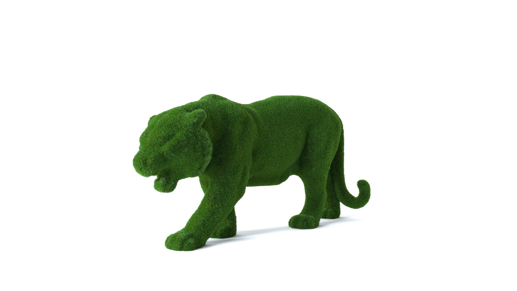 Тигр — изображение 9