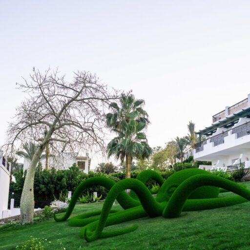 Осьминог №1