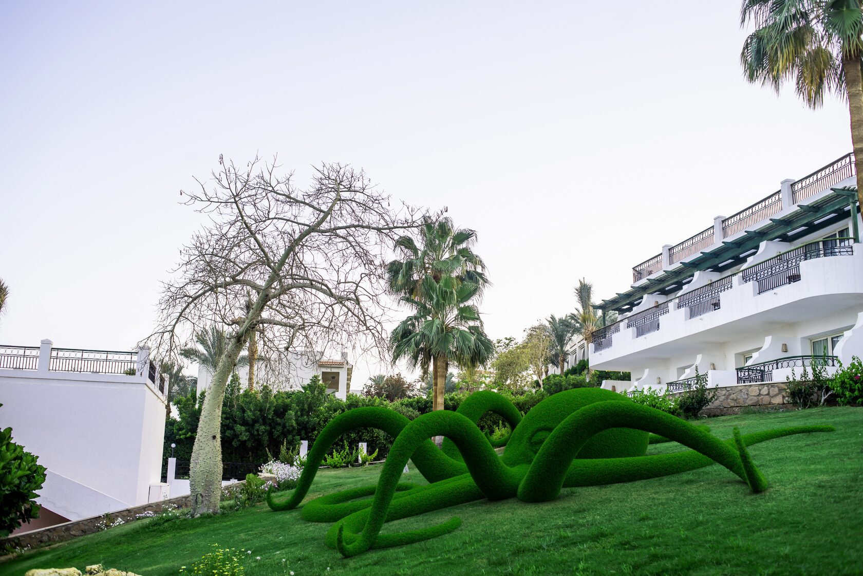 Осьминог №1