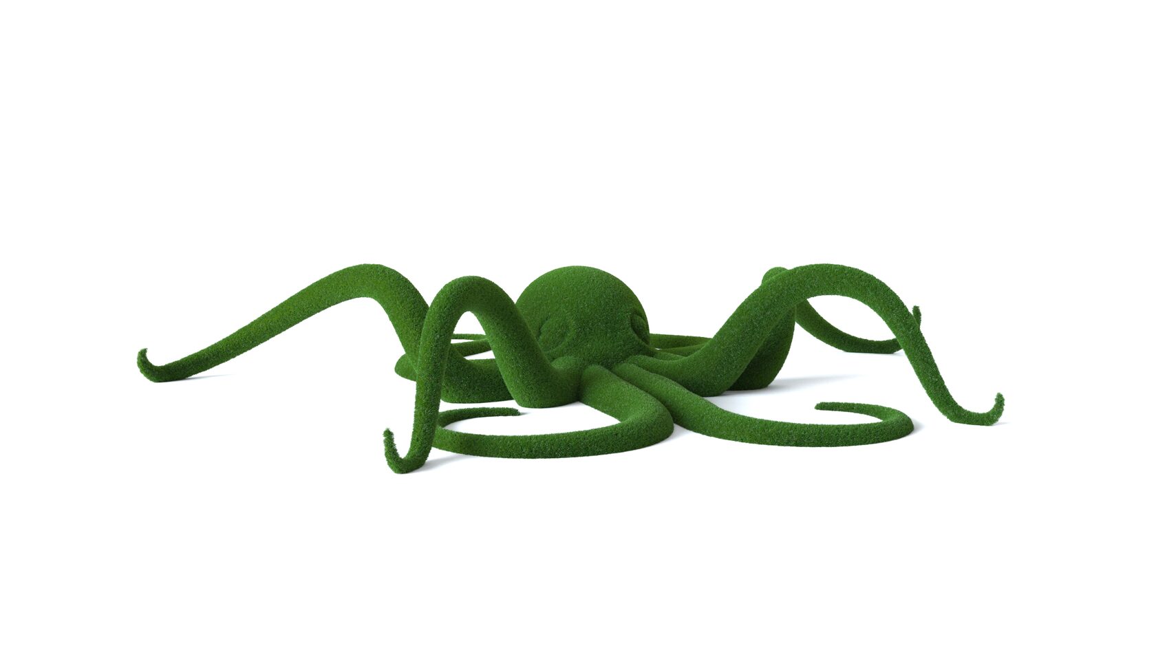 Осьминог №1 — изображение 4