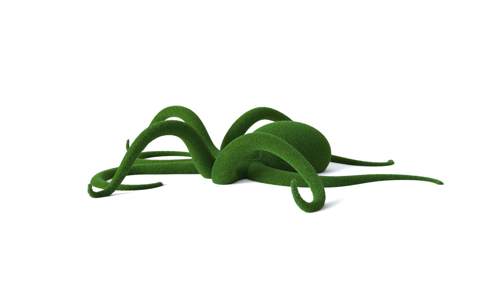 Осьминог №1 — изображение 7