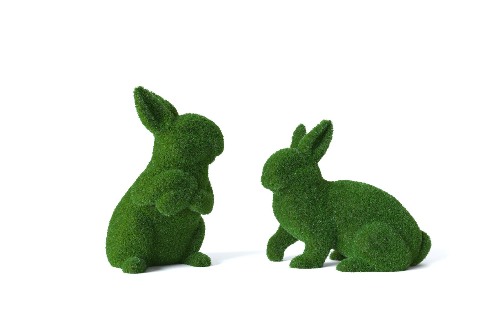 Дом — изображение 10