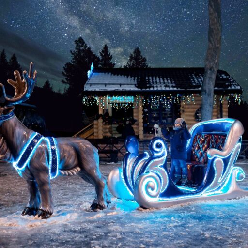 Олень с новогодними санями