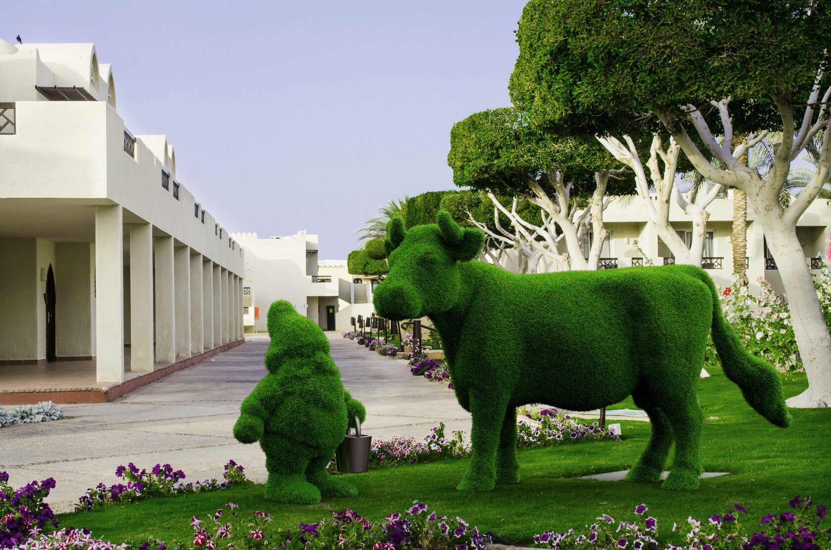 Корова — изображение 12