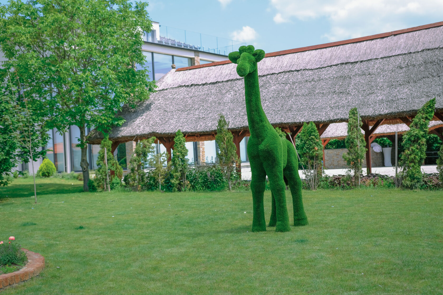 Жираф — изображение 3