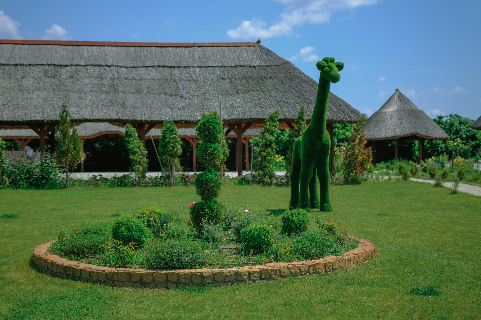 Жираф — изображение 4