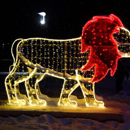 Фотозона цирк